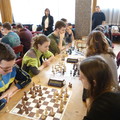 KK v šachu -14.12.2016