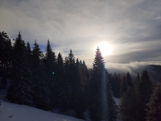 Nesmělé sluníčko