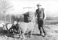 František Fišer s ovečkami