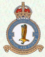 Odznak 313. československé stíhací perutě RAF